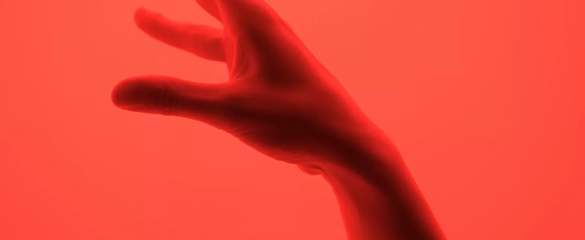 Luminara 2 svg+xml;charset=utf